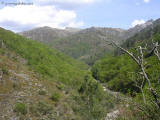 peneda geres 0012