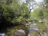 peneda geres 0014