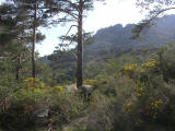 peneda geres 0019